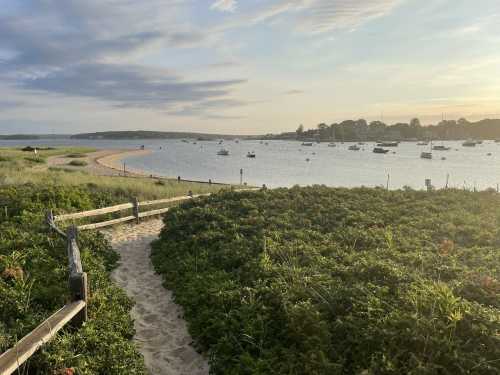 A sandy path leads through greenery to a calm bay with boats, under a partly cloudy sky at sunset.