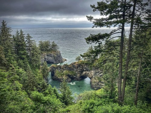 A coastal view featuring lush green trees, rocky cliffs, and a serene ocean cove under a cloudy sky.