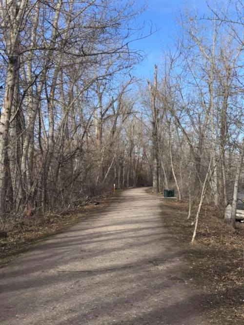 A dirt path winds through a wooded area with bare trees under a clear blue sky.