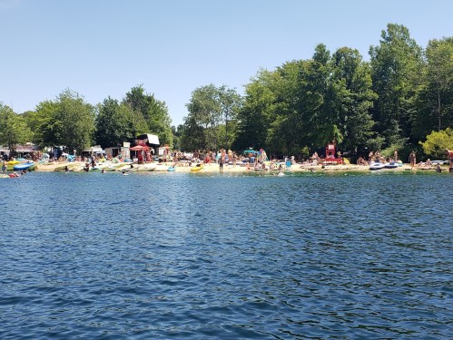 A busy lakeside scene with people enjoying the beach, boats, and trees under a clear blue sky.