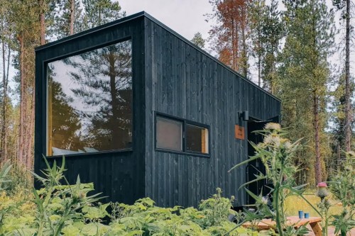 A modern black cabin surrounded by tall trees and greenery, featuring large windows and a simple outdoor seating area.