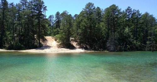 A serene lake surrounded by lush green trees and sandy shores under a clear blue sky.