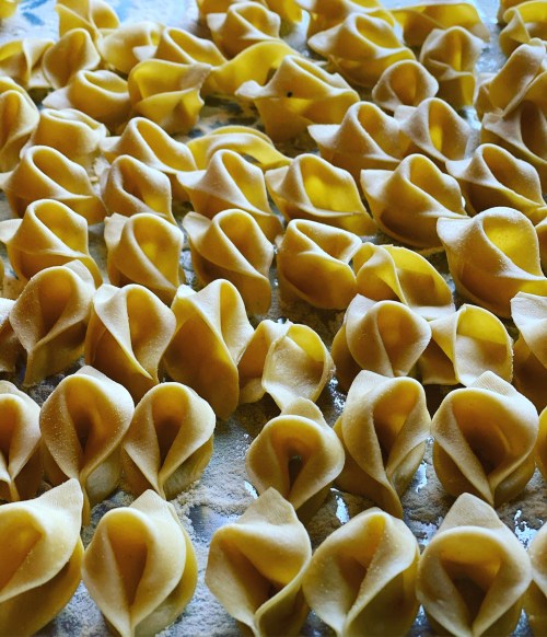 A close-up of freshly made pasta shaped like small, folded flowers, arranged on a floured surface.