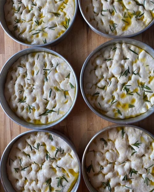Six round pans of uncooked focaccia dough topped with fresh rosemary and drizzled with olive oil.