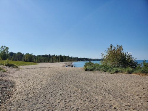 A sandy beach with a clear blue sky, surrounded by trees and calm water, creating a serene outdoor scene.