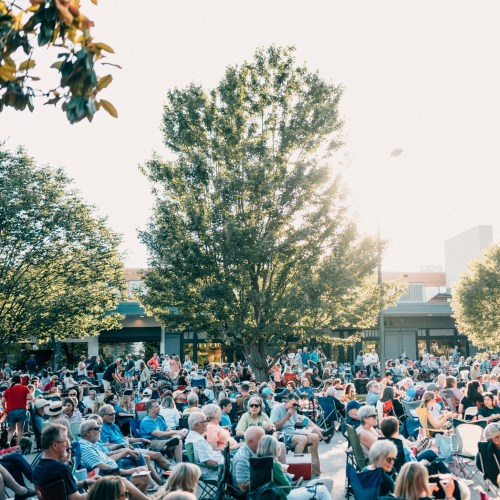 A large crowd of people enjoying an outdoor event under trees, with sunlight filtering through the leaves.