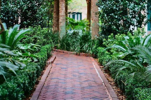 A winding brick pathway surrounded by lush greenery and palm trees, leading through a tranquil garden.