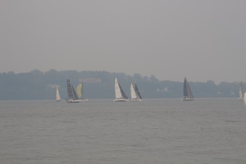 Sailboats with various colored sails glide across a calm waterway, with a hazy shoreline in the background.