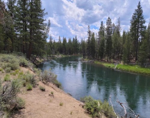 A serene river flows through a forested landscape, surrounded by tall trees and lush greenery under a cloudy sky.