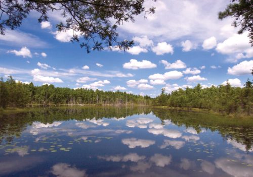A serene lake reflecting fluffy clouds and green trees under a bright blue sky.