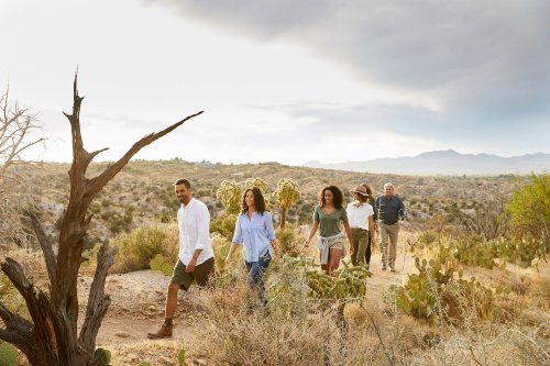 A group of five people walking on a desert trail, surrounded by cacti and mountains under a cloudy sky.