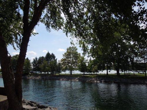 A serene lakeside view with trees lining the shore under a clear blue sky.