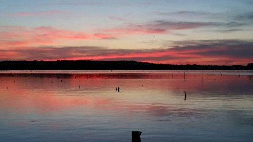 A serene lake at sunset, reflecting vibrant pink and orange hues in the water, with silhouettes of trees in the background.