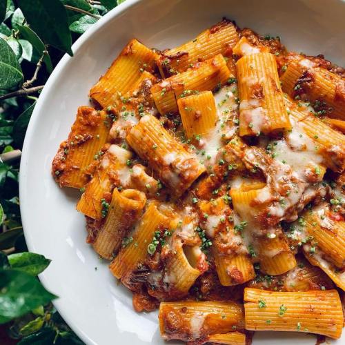 A bowl of rigatoni pasta topped with meat sauce and melted cheese, garnished with green herbs, surrounded by greenery.