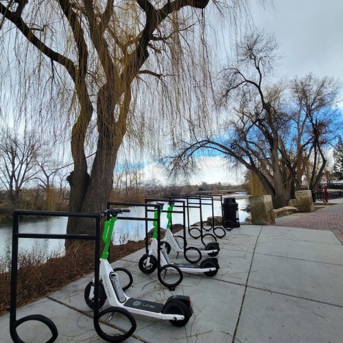 A row of electric scooters parked near a river, with trees and a cloudy sky in the background.
