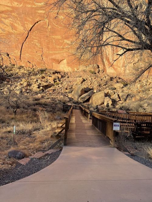 A wooden walkway leads through a rocky landscape with red cliffs and sparse vegetation under soft sunlight.