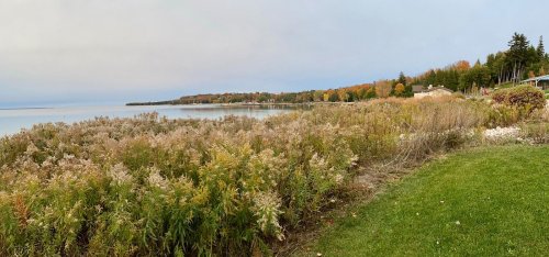 A serene lakeside view with autumn foliage, grassy shoreline, and calm waters under a cloudy sky.