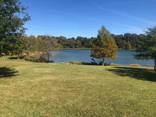 A serene lake surrounded by trees and grass, with a person sitting on a bench by the water under a clear blue sky.