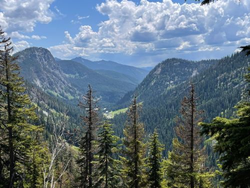 A scenic view of a lush green valley surrounded by mountains under a partly cloudy sky. Pine trees in the foreground.