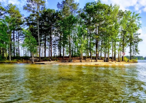 A serene lakeside view featuring a sandy shore lined with lush green trees under a clear blue sky.