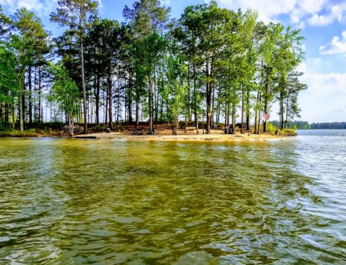 A serene lakeside view featuring a small sandy island surrounded by tall trees and calm water under a blue sky.