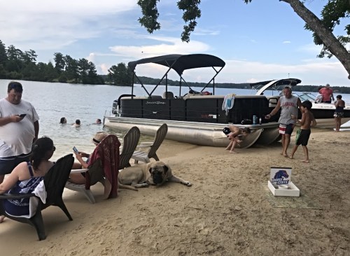 A sandy beach scene with people relaxing, a dog, and a pontoon boat by the water on a sunny day.