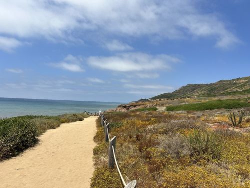 A sandy path leads to the ocean, surrounded by colorful wildflowers and greenery under a blue sky with scattered clouds.