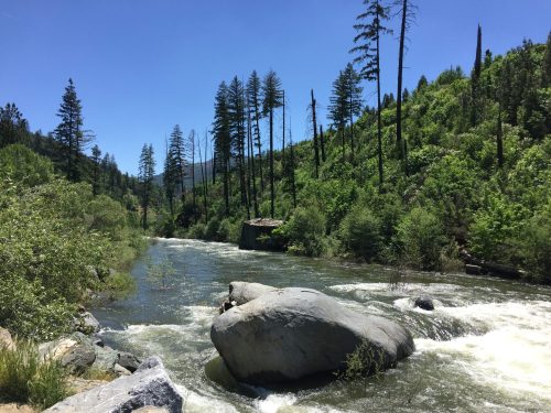 A serene river flows through a lush green landscape, surrounded by tall trees and rocky banks under a clear blue sky.
