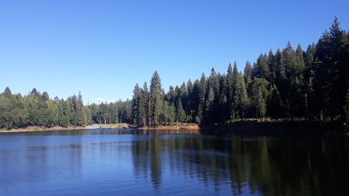 A serene lake surrounded by tall pine trees under a clear blue sky, reflecting the landscape on its calm surface.
