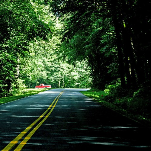 A winding road through a lush green forest, with a red truck visible in the distance.
