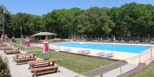 A sunny outdoor pool area with lounge chairs, umbrellas, and a grassy surrounding. Trees in the background.