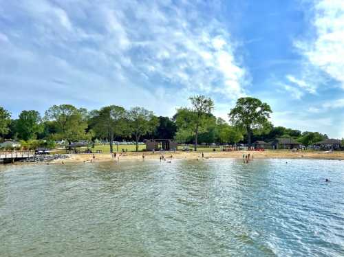 A sunny beach scene with people swimming and relaxing, surrounded by trees and a clear blue sky.