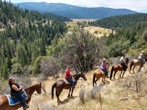 A group of people on horseback overlooking a lush valley surrounded by mountains and trees.