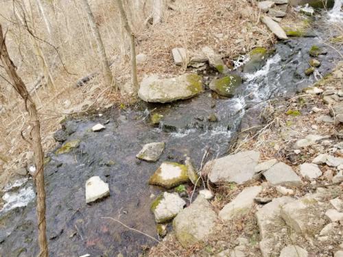 A serene stream flows over rocks in a wooded area, surrounded by bare trees and dry foliage.