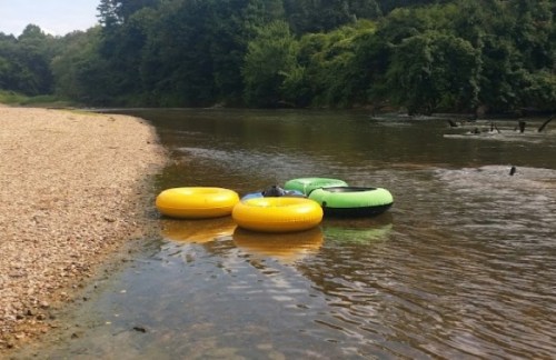 Four colorful inner tubes are resting on the shore of a calm river, surrounded by trees and greenery.