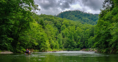 A person kayaking on a calm river surrounded by lush green trees and a mountainous backdrop under a cloudy sky.