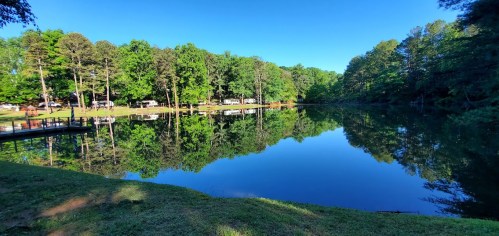 A serene lake surrounded by lush green trees, reflecting the clear blue sky and vibrant foliage.