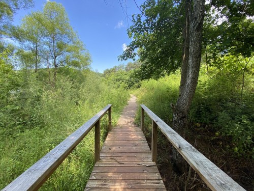 A wooden bridge leads into a lush green path surrounded by trees and foliage under a clear blue sky.