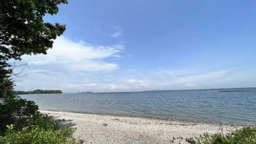 A serene beach scene with pebbles, calm water, and a clear blue sky, framed by trees on the left.