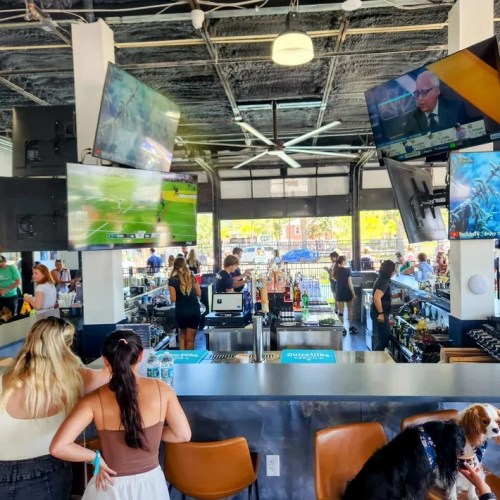 A lively bar scene with people socializing, screens showing sports, and a dog sitting near the bar.