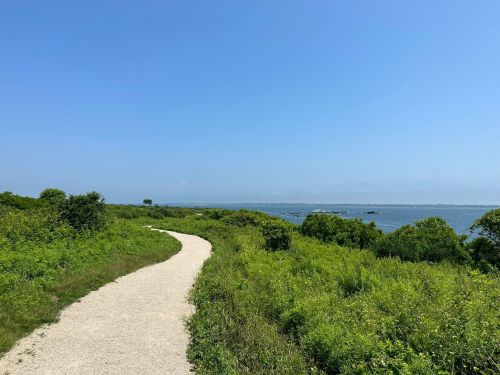 A winding path through lush greenery leads to a calm ocean under a clear blue sky.