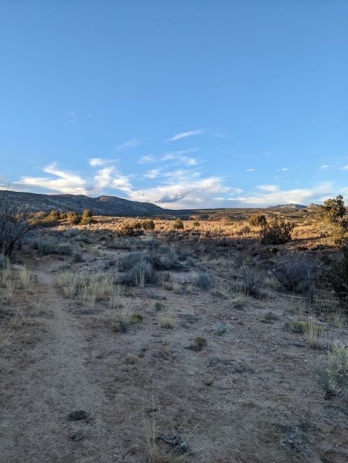 A scenic landscape featuring a dirt path, sparse vegetation, and distant mountains under a clear blue sky.