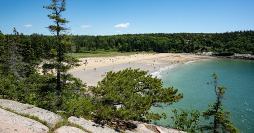 view of beachgoers on the sand at sand beach at acadia national park, maine