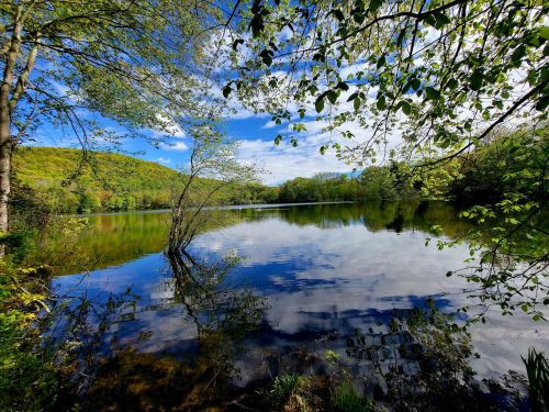 A serene lake surrounded by trees, reflecting the sky and greenery, with gentle ripples on the water's surface.