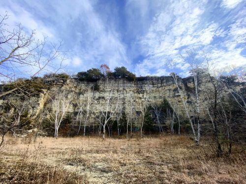 A rocky cliff rises against a blue sky, surrounded by sparse trees and dry grass in a natural landscape.