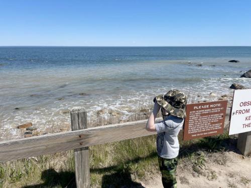 A child in a camouflage hat looks out at the ocean from a wooden fence, with a warning sign nearby.