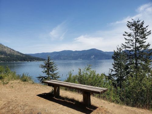 A wooden bench overlooks a calm lake surrounded by mountains and trees under a clear blue sky.