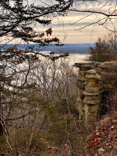 A rocky cliff overlooks a river, surrounded by bare trees and a cloudy sky in the background.