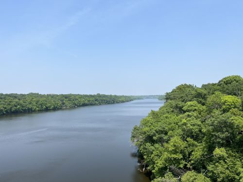 A serene river flows through lush green trees under a clear blue sky.