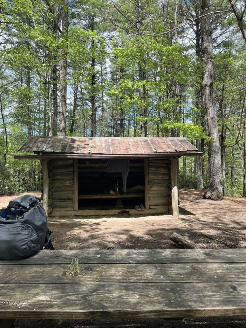 A rustic wooden shelter in a forest, with a picnic table in the foreground and trees surrounding the area.